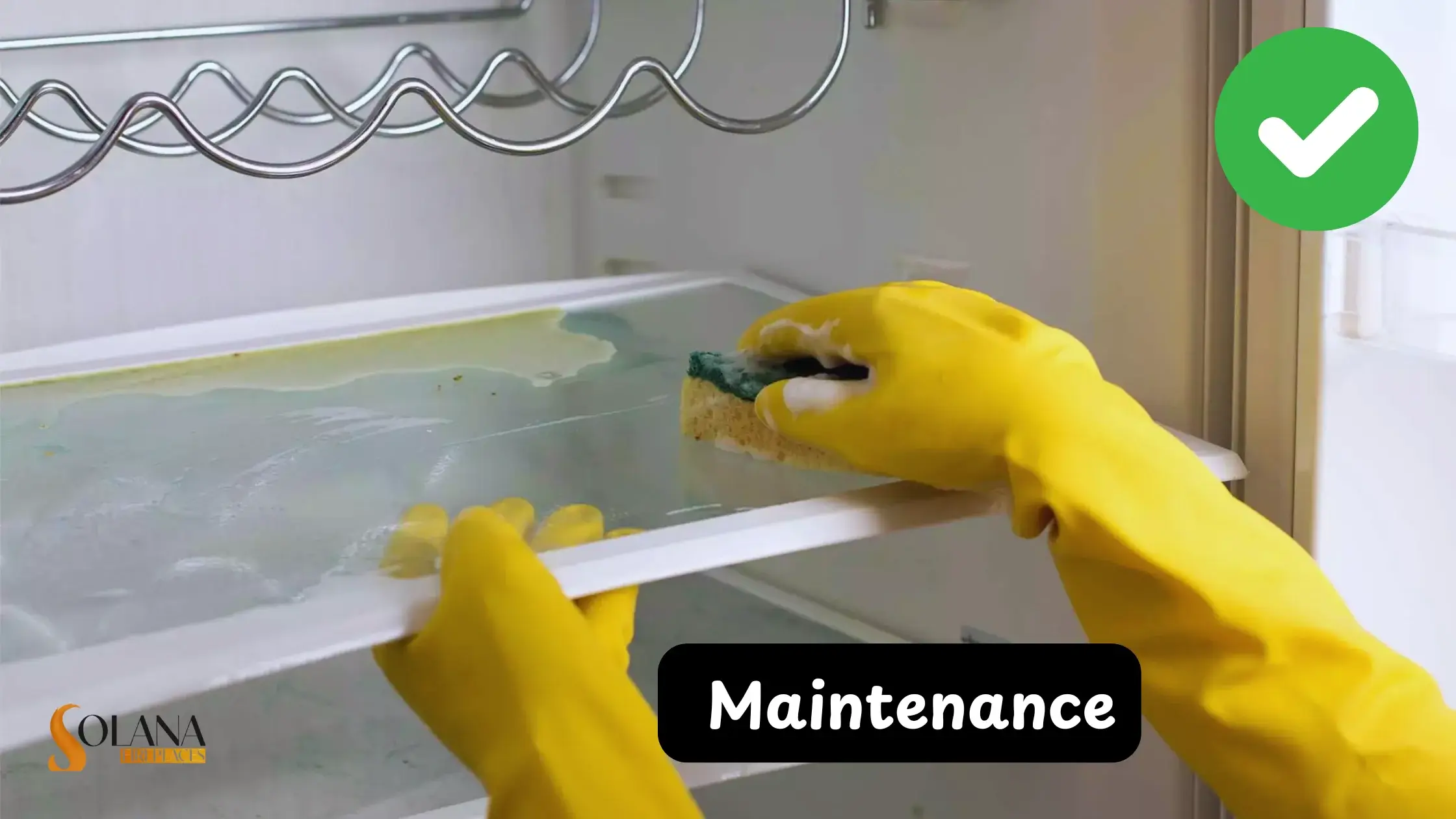 Maintenance & Care for Long-Lasting Performance