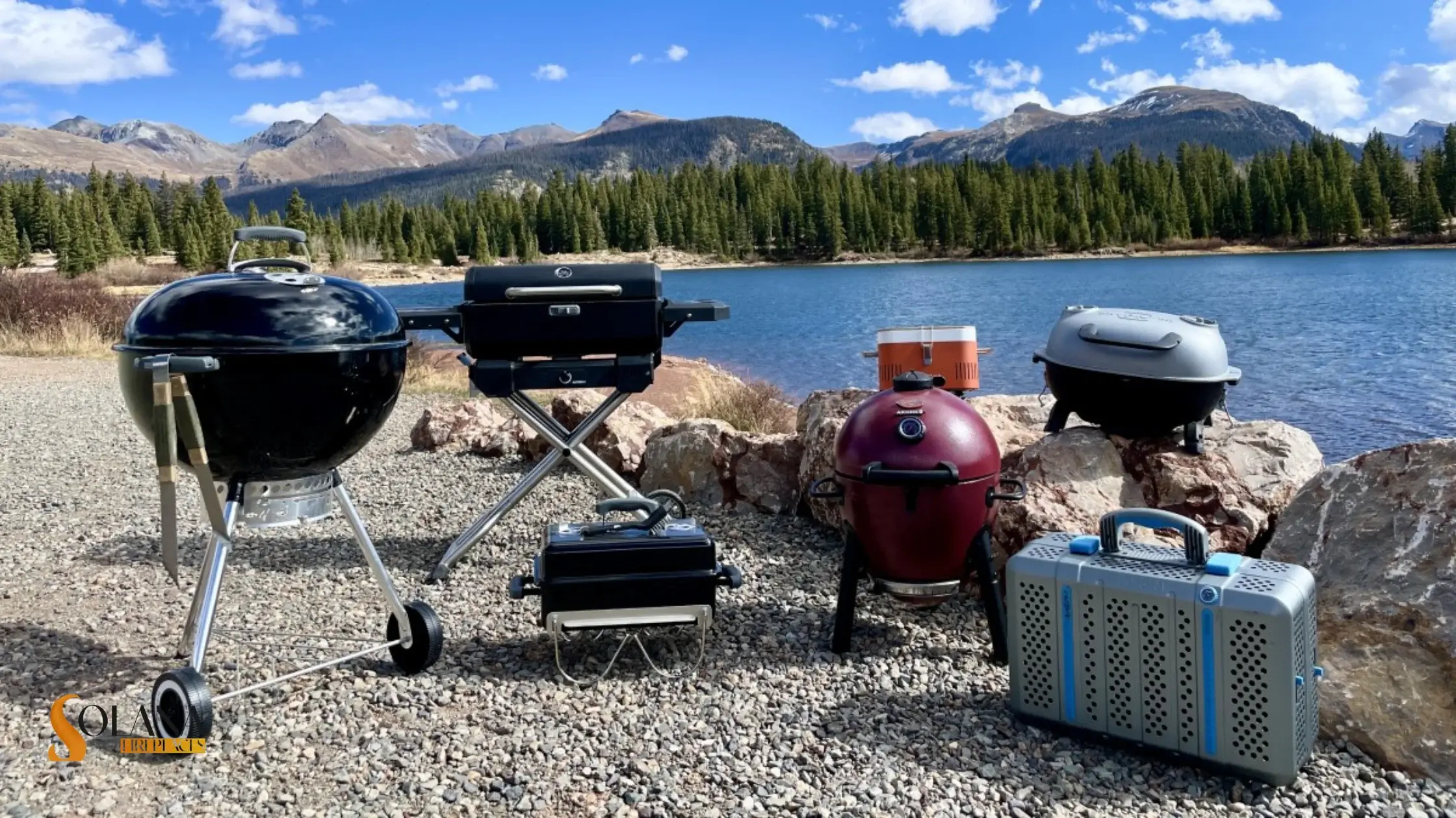 Small Propane Grill vs. Charcoal Grill - Which One is Better?