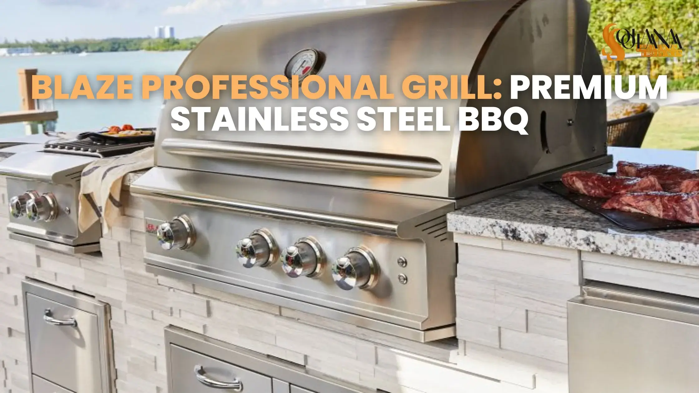 Blaze Professional Grill: Premium Stainless Steel BBQ